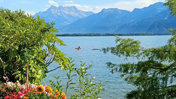 Vue depuis la promenade sur le lac et les montagnes. Au premier plan, des fleurs colorées bordent le chemin.
