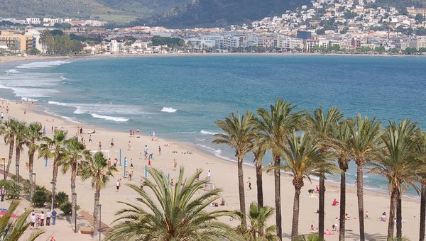 Plage de palmiers à l'infini avec la mer et la station balnéaire en arrière-plan