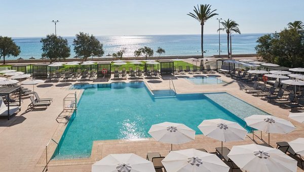 Belle piscine avec palmiers et vue sur la mer